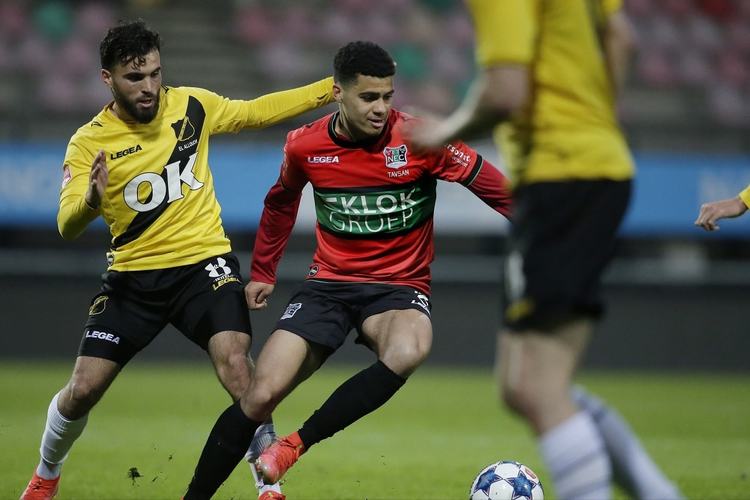 多点开花的 多点开花的