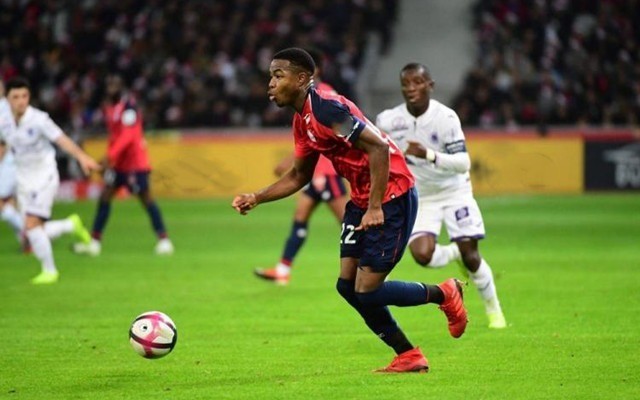 管理层显然 管理层显然