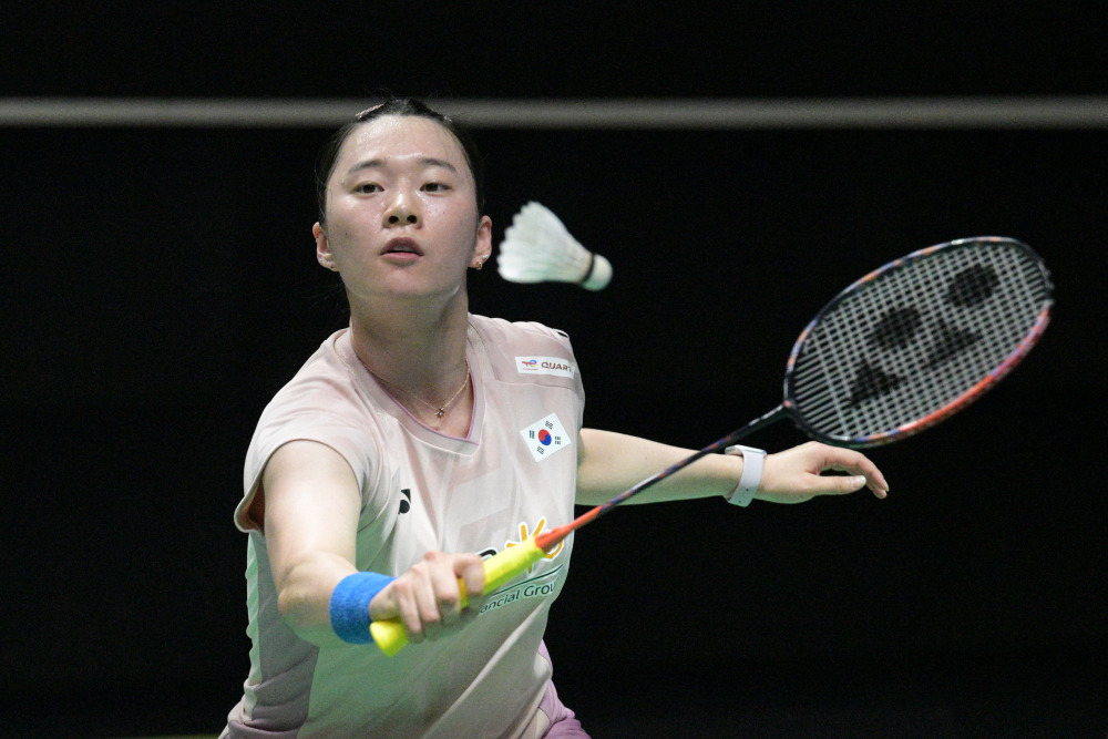 版本适应度 版本适应度